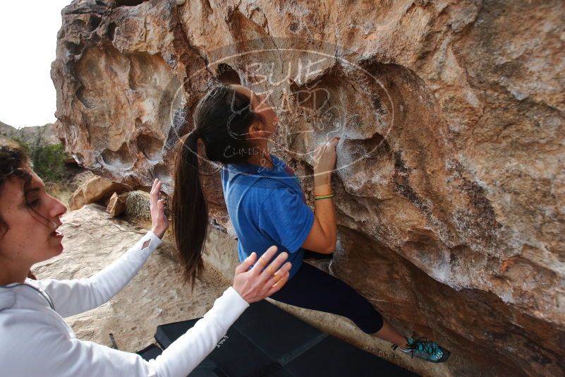 Bouldering in Hueco Tanks on 02/17/2020 with Blue Lizard Climbing and Yoga

Filename: SRM_20200217_1448000.jpg
Aperture: f/5.6
Shutter Speed: 1/320
Body: Canon EOS-1D Mark II
Lens: Canon EF 16-35mm f/2.8 L
