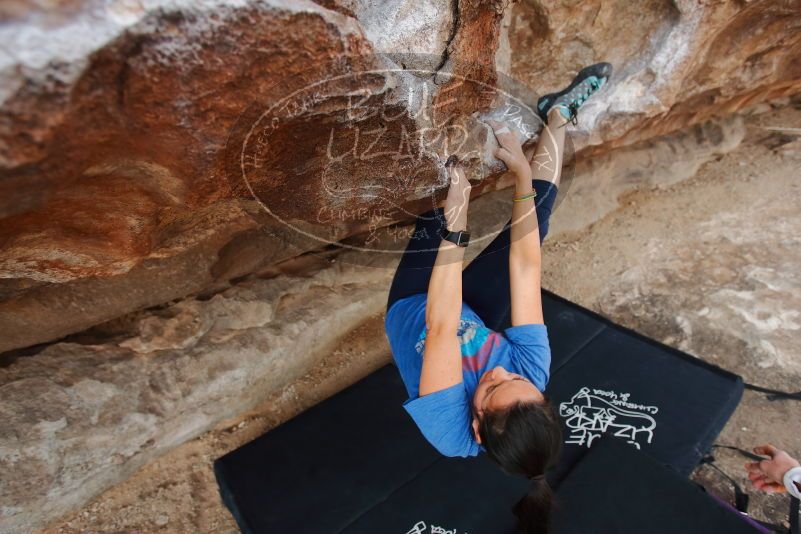 Bouldering in Hueco Tanks on 02/17/2020 with Blue Lizard Climbing and Yoga

Filename: SRM_20200217_1454480.jpg
Aperture: f/4.5
Shutter Speed: 1/320
Body: Canon EOS-1D Mark II
Lens: Canon EF 16-35mm f/2.8 L