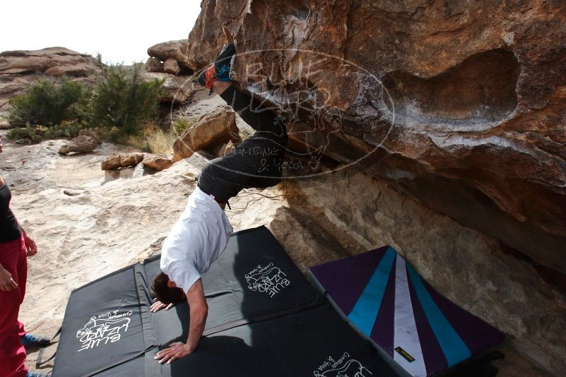 Bouldering in Hueco Tanks on 02/17/2020 with Blue Lizard Climbing and Yoga

Filename: SRM_20200217_1507451.jpg
Aperture: f/8.0
Shutter Speed: 1/320
Body: Canon EOS-1D Mark II
Lens: Canon EF 16-35mm f/2.8 L