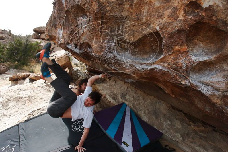 Bouldering in Hueco Tanks on 02/17/2020 with Blue Lizard Climbing and Yoga

Filename: SRM_20200217_1508090.jpg
Aperture: f/7.1
Shutter Speed: 1/320
Body: Canon EOS-1D Mark II
Lens: Canon EF 16-35mm f/2.8 L