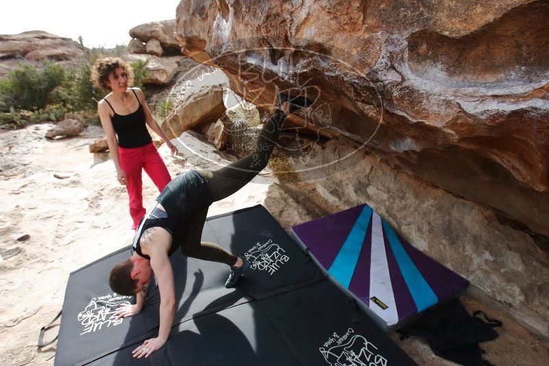 Bouldering in Hueco Tanks on 02/17/2020 with Blue Lizard Climbing and Yoga

Filename: SRM_20200217_1509220.jpg
Aperture: f/5.6
Shutter Speed: 1/320
Body: Canon EOS-1D Mark II
Lens: Canon EF 16-35mm f/2.8 L