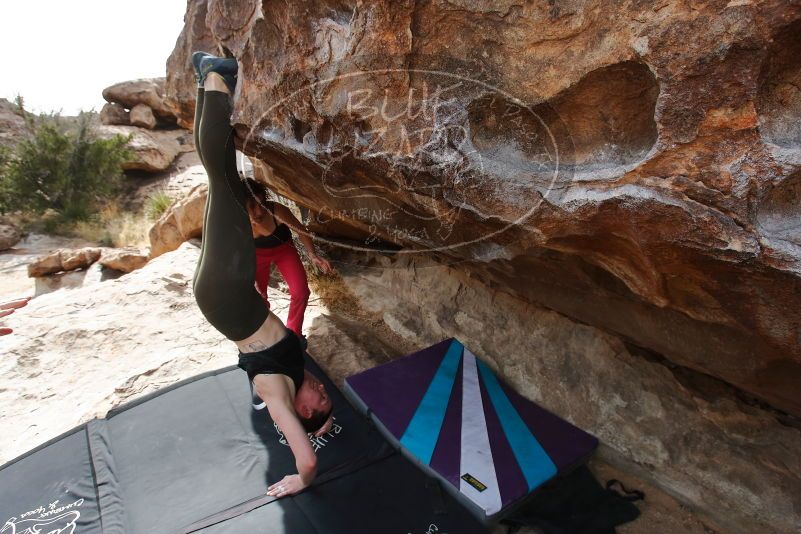 Bouldering in Hueco Tanks on 02/17/2020 with Blue Lizard Climbing and Yoga

Filename: SRM_20200217_1509560.jpg
Aperture: f/6.3
Shutter Speed: 1/320
Body: Canon EOS-1D Mark II
Lens: Canon EF 16-35mm f/2.8 L