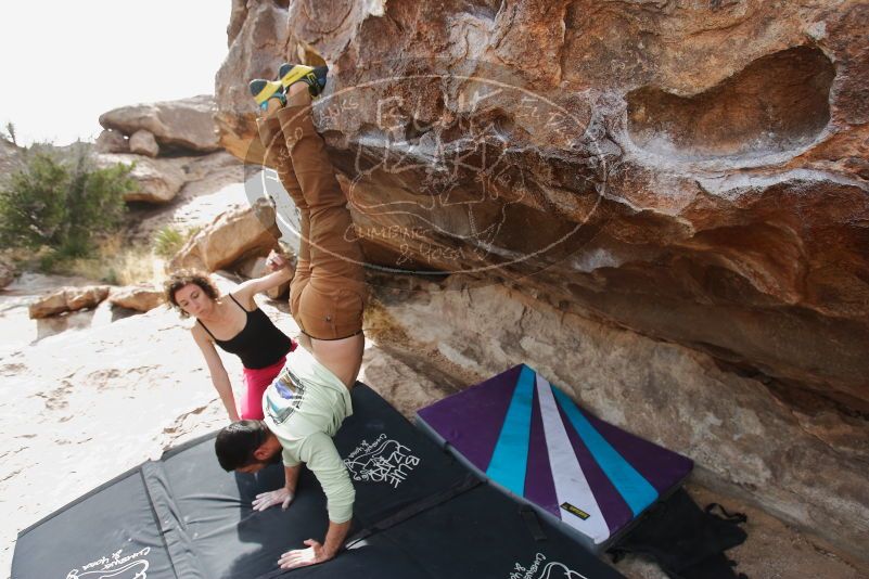 Bouldering in Hueco Tanks on 02/17/2020 with Blue Lizard Climbing and Yoga

Filename: SRM_20200217_1512190.jpg
Aperture: f/4.0
Shutter Speed: 1/320
Body: Canon EOS-1D Mark II
Lens: Canon EF 16-35mm f/2.8 L