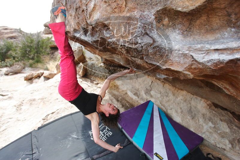 Bouldering in Hueco Tanks on 02/17/2020 with Blue Lizard Climbing and Yoga

Filename: SRM_20200217_1513530.jpg
Aperture: f/4.0
Shutter Speed: 1/320
Body: Canon EOS-1D Mark II
Lens: Canon EF 16-35mm f/2.8 L