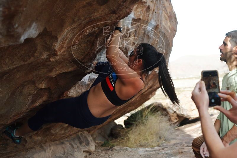 Bouldering in Hueco Tanks on 02/17/2020 with Blue Lizard Climbing and Yoga

Filename: SRM_20200217_1526400.jpg
Aperture: f/5.0
Shutter Speed: 1/400
Body: Canon EOS-1D Mark II
Lens: Canon EF 50mm f/1.8 II