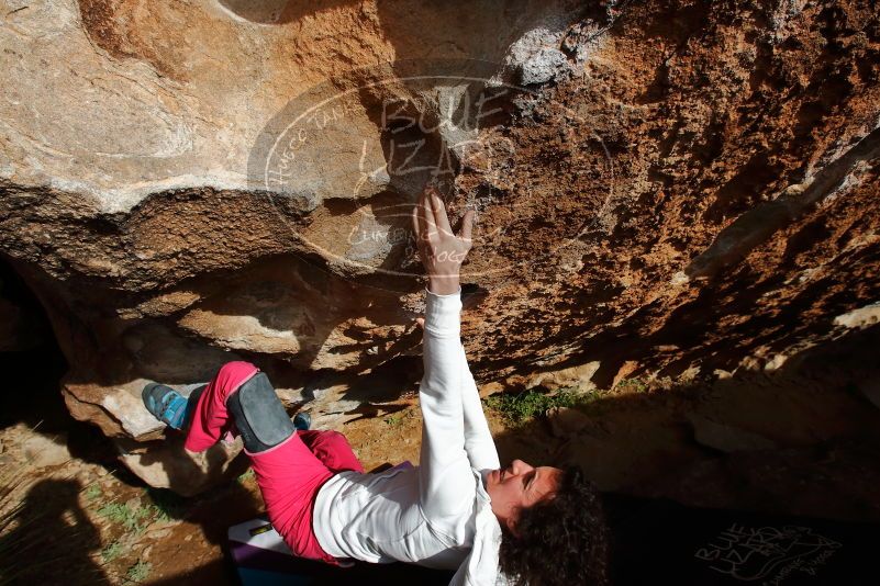 Bouldering in Hueco Tanks on 02/17/2020 with Blue Lizard Climbing and Yoga

Filename: SRM_20200217_1614170.jpg
Aperture: f/9.0
Shutter Speed: 1/500
Body: Canon EOS-1D Mark II
Lens: Canon EF 16-35mm f/2.8 L