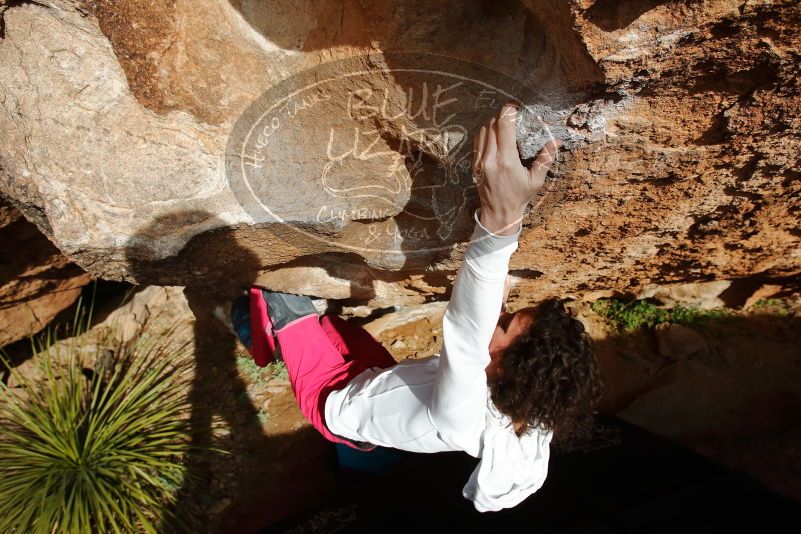 Bouldering in Hueco Tanks on 02/17/2020 with Blue Lizard Climbing and Yoga

Filename: SRM_20200217_1615350.jpg
Aperture: f/9.0
Shutter Speed: 1/500
Body: Canon EOS-1D Mark II
Lens: Canon EF 16-35mm f/2.8 L