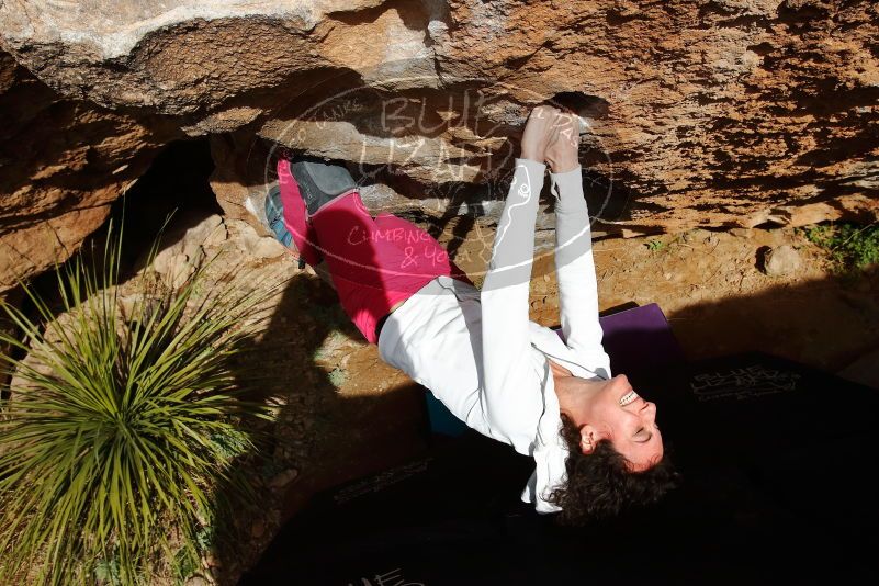 Bouldering in Hueco Tanks on 02/17/2020 with Blue Lizard Climbing and Yoga

Filename: SRM_20200217_1615440.jpg
Aperture: f/9.0
Shutter Speed: 1/500
Body: Canon EOS-1D Mark II
Lens: Canon EF 16-35mm f/2.8 L