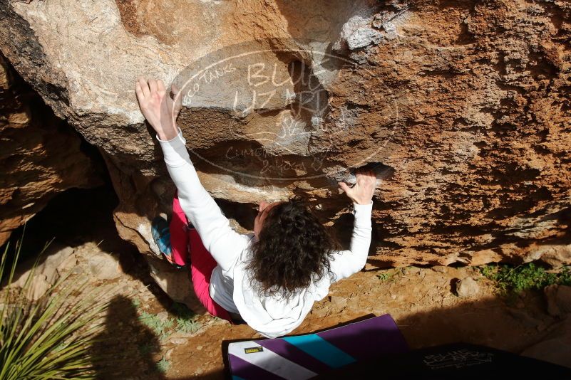 Bouldering in Hueco Tanks on 02/17/2020 with Blue Lizard Climbing and Yoga

Filename: SRM_20200217_1616380.jpg
Aperture: f/8.0
Shutter Speed: 1/500
Body: Canon EOS-1D Mark II
Lens: Canon EF 16-35mm f/2.8 L