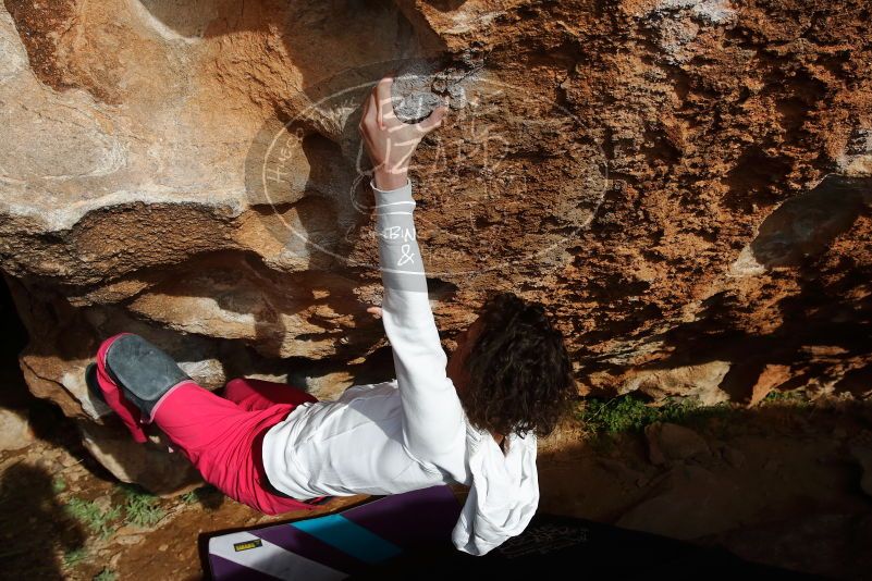 Bouldering in Hueco Tanks on 02/17/2020 with Blue Lizard Climbing and Yoga

Filename: SRM_20200217_1616460.jpg
Aperture: f/9.0
Shutter Speed: 1/500
Body: Canon EOS-1D Mark II
Lens: Canon EF 16-35mm f/2.8 L