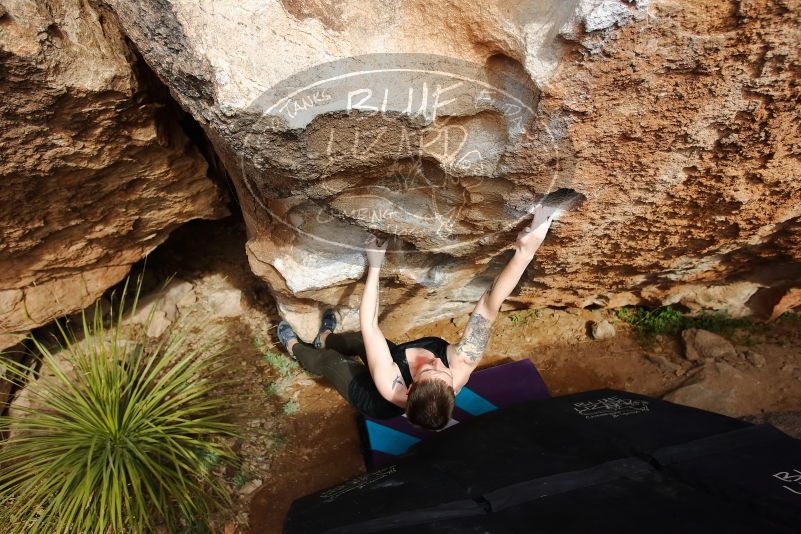 Bouldering in Hueco Tanks on 02/17/2020 with Blue Lizard Climbing and Yoga

Filename: SRM_20200217_1621030.jpg
Aperture: f/4.5
Shutter Speed: 1/500
Body: Canon EOS-1D Mark II
Lens: Canon EF 16-35mm f/2.8 L
