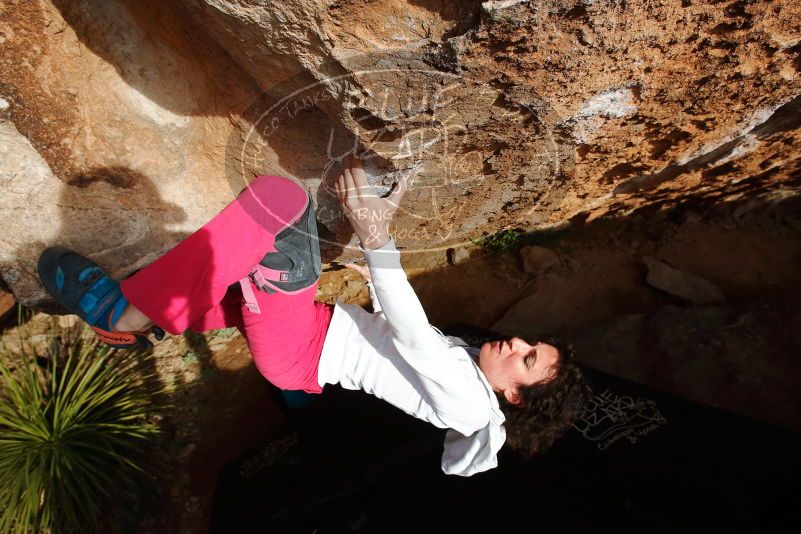 Bouldering in Hueco Tanks on 02/17/2020 with Blue Lizard Climbing and Yoga

Filename: SRM_20200217_1622170.jpg
Aperture: f/7.1
Shutter Speed: 1/500
Body: Canon EOS-1D Mark II
Lens: Canon EF 16-35mm f/2.8 L