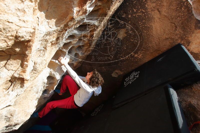 Bouldering in Hueco Tanks on 02/17/2020 with Blue Lizard Climbing and Yoga

Filename: SRM_20200217_1636250.jpg
Aperture: f/5.6
Shutter Speed: 1/320
Body: Canon EOS-1D Mark II
Lens: Canon EF 16-35mm f/2.8 L