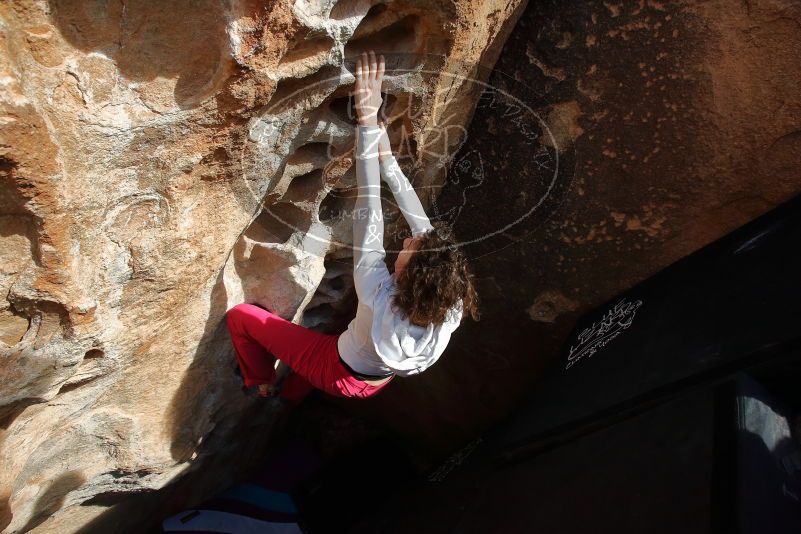 Bouldering in Hueco Tanks on 02/17/2020 with Blue Lizard Climbing and Yoga

Filename: SRM_20200217_1636320.jpg
Aperture: f/7.1
Shutter Speed: 1/320
Body: Canon EOS-1D Mark II
Lens: Canon EF 16-35mm f/2.8 L