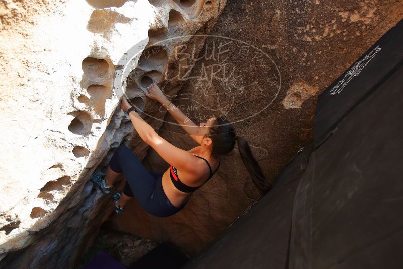 Bouldering in Hueco Tanks on 02/17/2020 with Blue Lizard Climbing and Yoga

Filename: SRM_20200217_1637570.jpg
Aperture: f/3.5
Shutter Speed: 1/320
Body: Canon EOS-1D Mark II
Lens: Canon EF 16-35mm f/2.8 L