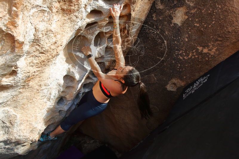Bouldering in Hueco Tanks on 02/17/2020 with Blue Lizard Climbing and Yoga

Filename: SRM_20200217_1638290.jpg
Aperture: f/5.6
Shutter Speed: 1/250
Body: Canon EOS-1D Mark II
Lens: Canon EF 16-35mm f/2.8 L
