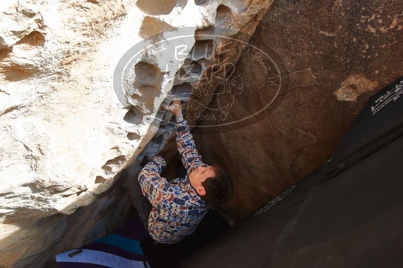Bouldering in Hueco Tanks on 02/17/2020 with Blue Lizard Climbing and Yoga

Filename: SRM_20200217_1639160.jpg
Aperture: f/5.0
Shutter Speed: 1/250
Body: Canon EOS-1D Mark II
Lens: Canon EF 16-35mm f/2.8 L