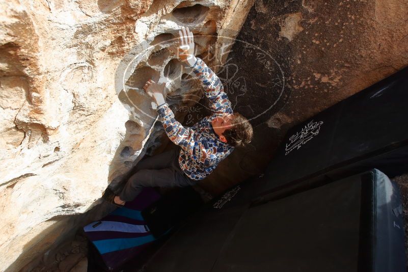 Bouldering in Hueco Tanks on 02/17/2020 with Blue Lizard Climbing and Yoga

Filename: SRM_20200217_1639230.jpg
Aperture: f/6.3
Shutter Speed: 1/250
Body: Canon EOS-1D Mark II
Lens: Canon EF 16-35mm f/2.8 L