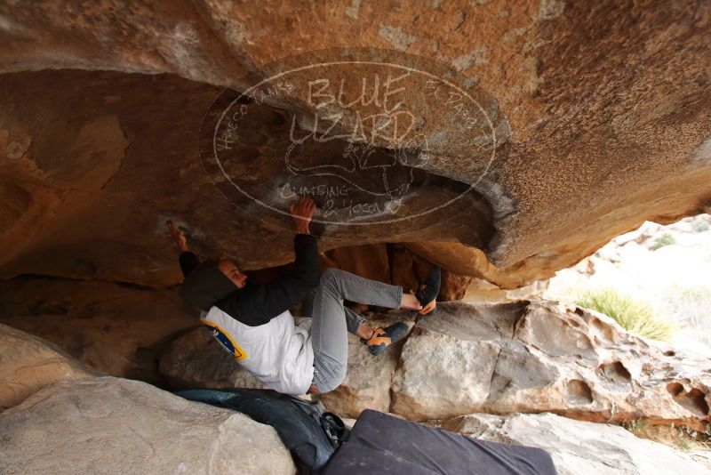 Bouldering in Hueco Tanks on 02/21/2020 with Blue Lizard Climbing and Yoga

Filename: SRM_20200221_1042010.jpg
Aperture: f/3.5
Shutter Speed: 1/250
Body: Canon EOS-1D Mark II
Lens: Canon EF 16-35mm f/2.8 L