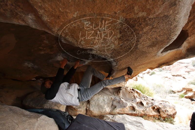 Bouldering in Hueco Tanks on 02/21/2020 with Blue Lizard Climbing and Yoga

Filename: SRM_20200221_1042050.jpg
Aperture: f/4.5
Shutter Speed: 1/250
Body: Canon EOS-1D Mark II
Lens: Canon EF 16-35mm f/2.8 L