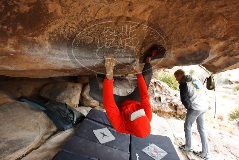 Bouldering in Hueco Tanks on 02/21/2020 with Blue Lizard Climbing and Yoga

Filename: SRM_20200221_1108370.jpg
Aperture: f/5.0
Shutter Speed: 1/250
Body: Canon EOS-1D Mark II
Lens: Canon EF 16-35mm f/2.8 L