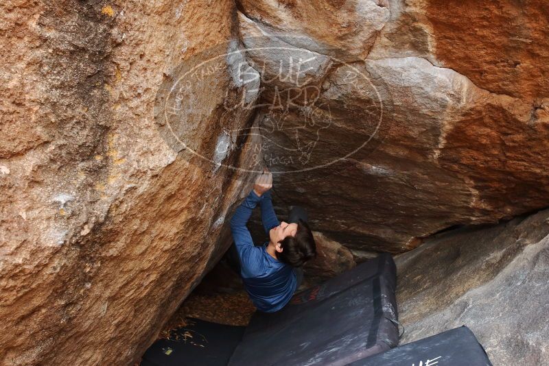 Bouldering in Hueco Tanks on 02/21/2020 with Blue Lizard Climbing and Yoga

Filename: SRM_20200221_1634590.jpg
Aperture: f/5.0
Shutter Speed: 1/250
Body: Canon EOS-1D Mark II
Lens: Canon EF 16-35mm f/2.8 L