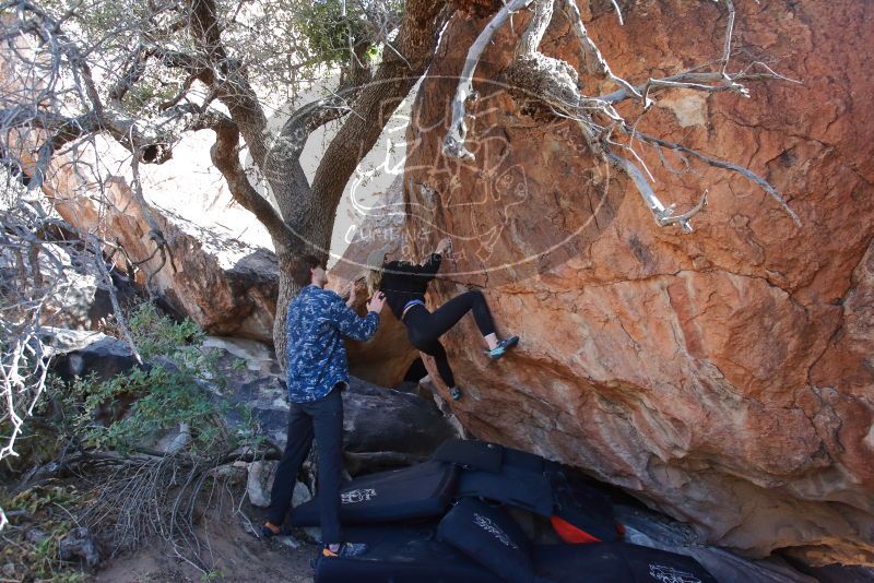 Bouldering in Hueco Tanks on 02/25/2020 with Blue Lizard Climbing and Yoga

Filename: SRM_20200225_1125270.jpg
Aperture: f/5.0
Shutter Speed: 1/250
Body: Canon EOS-1D Mark II
Lens: Canon EF 16-35mm f/2.8 L