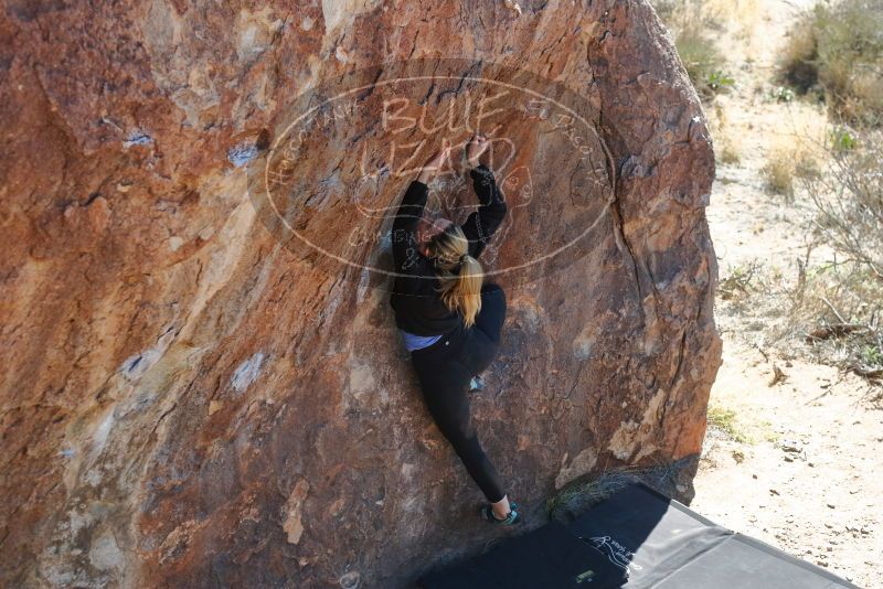 Bouldering in Hueco Tanks on 02/25/2020 with Blue Lizard Climbing and Yoga

Filename: SRM_20200225_1211160.jpg
Aperture: f/4.5
Shutter Speed: 1/320
Body: Canon EOS-1D Mark II
Lens: Canon EF 50mm f/1.8 II