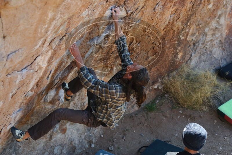 Bouldering in Hueco Tanks on 02/25/2020 with Blue Lizard Climbing and Yoga

Filename: SRM_20200225_1213410.jpg
Aperture: f/3.5
Shutter Speed: 1/320
Body: Canon EOS-1D Mark II
Lens: Canon EF 50mm f/1.8 II