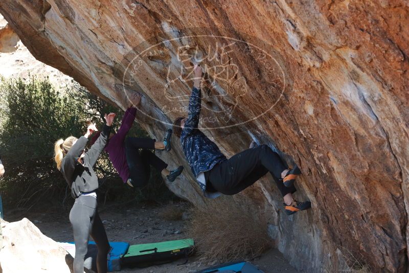 Bouldering in Hueco Tanks on 02/25/2020 with Blue Lizard Climbing and Yoga

Filename: SRM_20200225_1215260.jpg
Aperture: f/5.0
Shutter Speed: 1/320
Body: Canon EOS-1D Mark II
Lens: Canon EF 50mm f/1.8 II