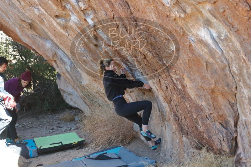 Bouldering in Hueco Tanks on 02/25/2020 with Blue Lizard Climbing and Yoga

Filename: SRM_20200225_1216340.jpg
Aperture: f/3.5
Shutter Speed: 1/320
Body: Canon EOS-1D Mark II
Lens: Canon EF 50mm f/1.8 II