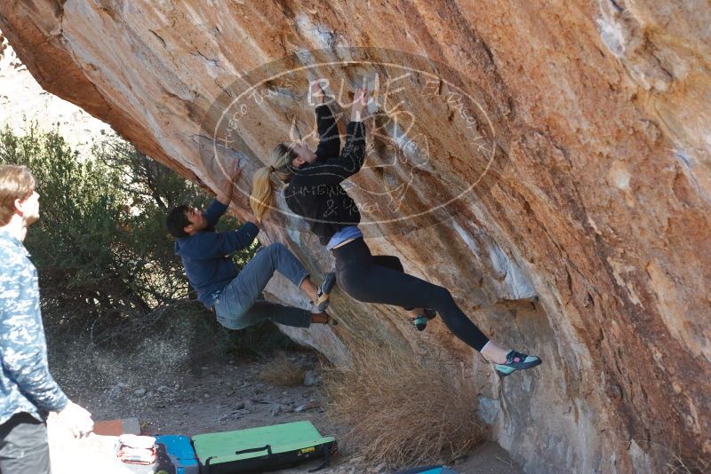 Bouldering in Hueco Tanks on 02/25/2020 with Blue Lizard Climbing and Yoga

Filename: SRM_20200225_1217430.jpg
Aperture: f/4.0
Shutter Speed: 1/320
Body: Canon EOS-1D Mark II
Lens: Canon EF 50mm f/1.8 II