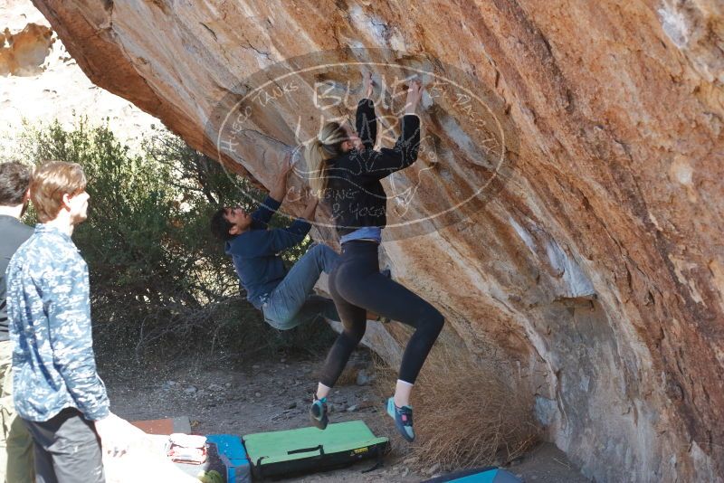 Bouldering in Hueco Tanks on 02/25/2020 with Blue Lizard Climbing and Yoga

Filename: SRM_20200225_1217431.jpg
Aperture: f/4.0
Shutter Speed: 1/320
Body: Canon EOS-1D Mark II
Lens: Canon EF 50mm f/1.8 II