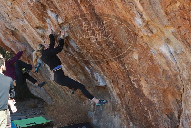 Bouldering in Hueco Tanks on 02/25/2020 with Blue Lizard Climbing and Yoga

Filename: SRM_20200225_1226350.jpg
Aperture: f/5.0
Shutter Speed: 1/320
Body: Canon EOS-1D Mark II
Lens: Canon EF 50mm f/1.8 II