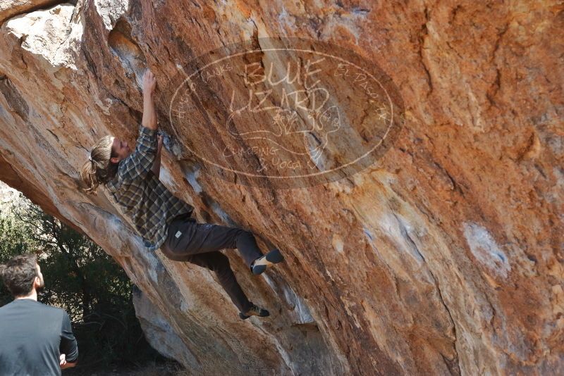 Bouldering in Hueco Tanks on 02/25/2020 with Blue Lizard Climbing and Yoga

Filename: SRM_20200225_1230520.jpg
Aperture: f/5.0
Shutter Speed: 1/320
Body: Canon EOS-1D Mark II
Lens: Canon EF 50mm f/1.8 II