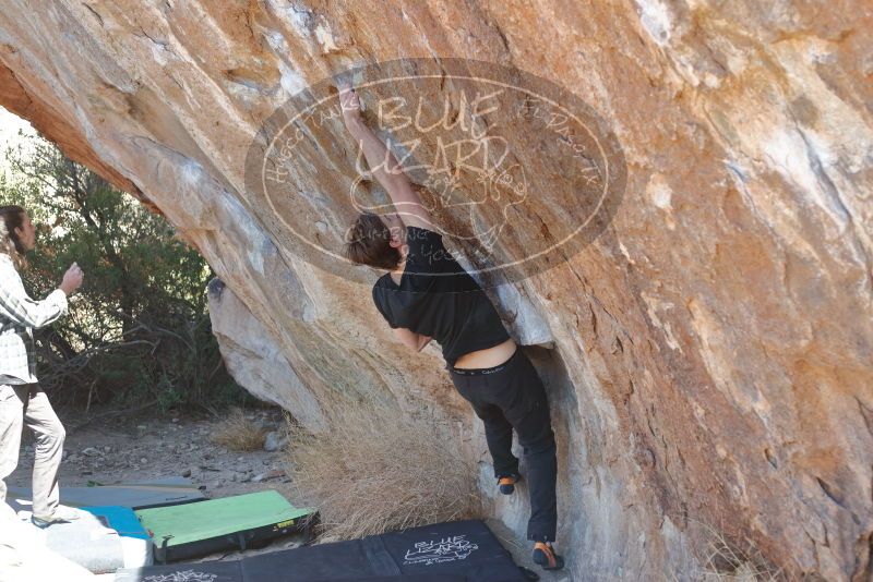 Bouldering in Hueco Tanks on 02/25/2020 with Blue Lizard Climbing and Yoga

Filename: SRM_20200225_1233040.jpg
Aperture: f/3.5
Shutter Speed: 1/320
Body: Canon EOS-1D Mark II
Lens: Canon EF 50mm f/1.8 II