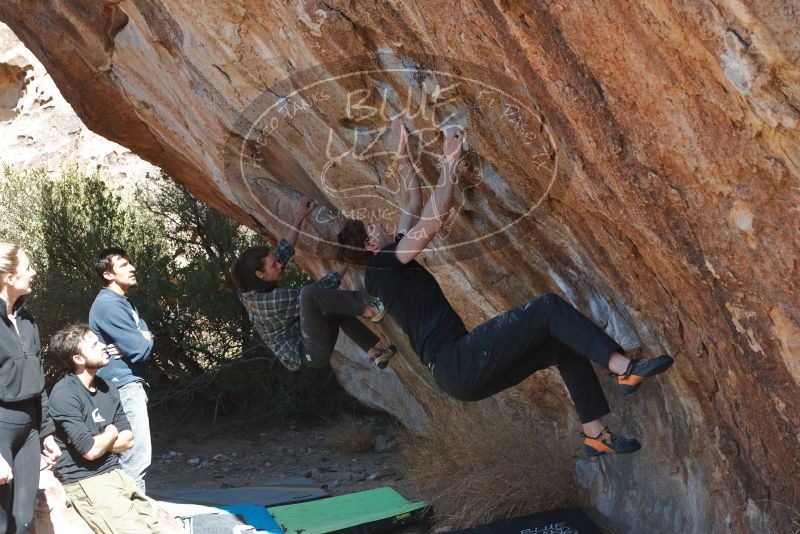 Bouldering in Hueco Tanks on 02/25/2020 with Blue Lizard Climbing and Yoga

Filename: SRM_20200225_1233100.jpg
Aperture: f/5.0
Shutter Speed: 1/320
Body: Canon EOS-1D Mark II
Lens: Canon EF 50mm f/1.8 II