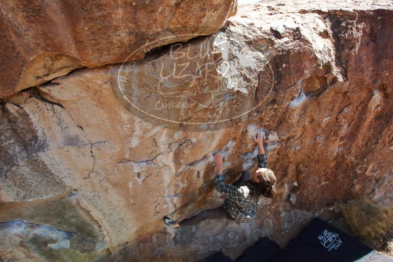 Bouldering in Hueco Tanks on 02/25/2020 with Blue Lizard Climbing and Yoga

Filename: SRM_20200225_1304200.jpg
Aperture: f/5.6
Shutter Speed: 1/400
Body: Canon EOS-1D Mark II
Lens: Canon EF 16-35mm f/2.8 L