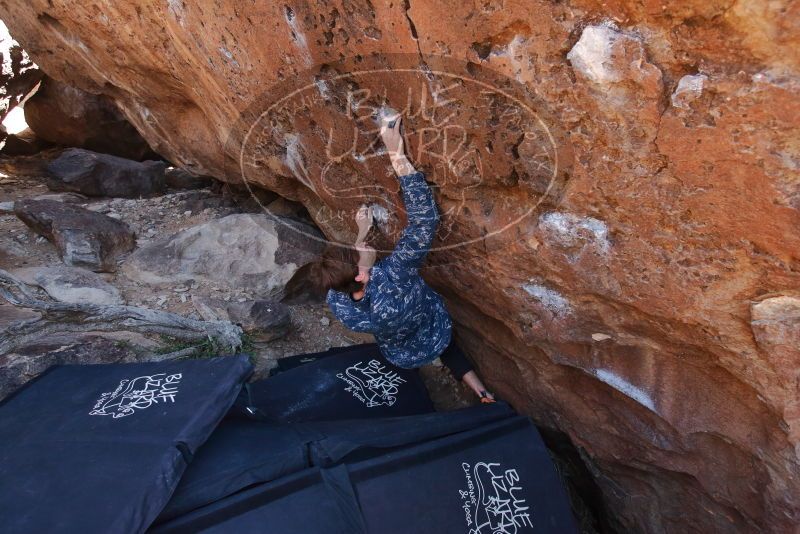 Bouldering in Hueco Tanks on 02/25/2020 with Blue Lizard Climbing and Yoga

Filename: SRM_20200225_1341350.jpg
Aperture: f/5.0
Shutter Speed: 1/250
Body: Canon EOS-1D Mark II
Lens: Canon EF 16-35mm f/2.8 L