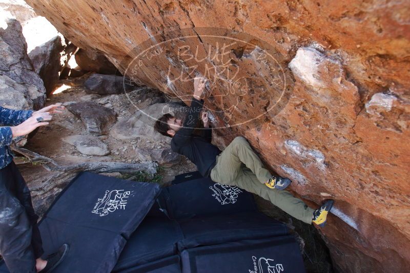 Bouldering in Hueco Tanks on 02/25/2020 with Blue Lizard Climbing and Yoga

Filename: SRM_20200225_1345200.jpg
Aperture: f/5.0
Shutter Speed: 1/250
Body: Canon EOS-1D Mark II
Lens: Canon EF 16-35mm f/2.8 L