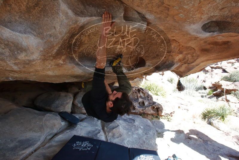 Bouldering in Hueco Tanks on 02/25/2020 with Blue Lizard Climbing and Yoga

Filename: SRM_20200225_1522440.jpg
Aperture: f/8.0
Shutter Speed: 1/250
Body: Canon EOS-1D Mark II
Lens: Canon EF 16-35mm f/2.8 L
