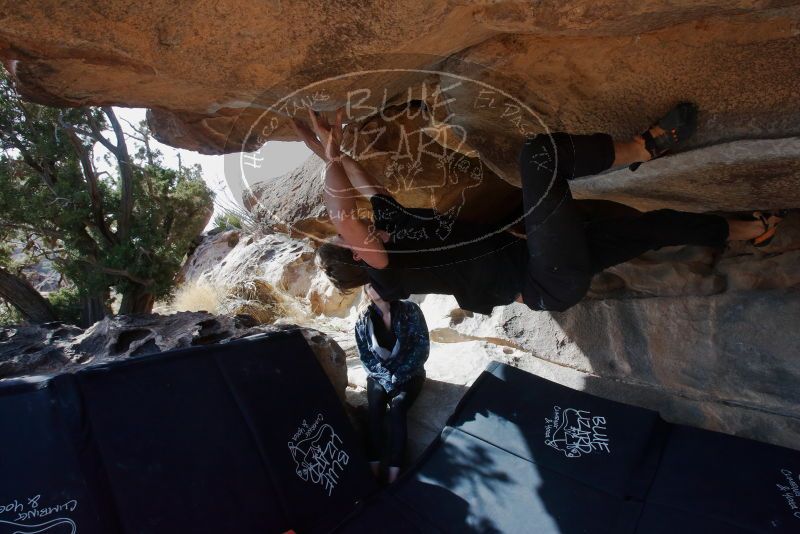Bouldering in Hueco Tanks on 02/25/2020 with Blue Lizard Climbing and Yoga

Filename: SRM_20200225_1543110.jpg
Aperture: f/9.0
Shutter Speed: 1/320
Body: Canon EOS-1D Mark II
Lens: Canon EF 16-35mm f/2.8 L