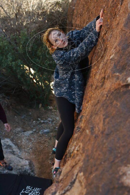 Bouldering in Hueco Tanks on 02/25/2020 with Blue Lizard Climbing and Yoga

Filename: SRM_20200225_1720010.jpg
Aperture: f/5.6
Shutter Speed: 1/250
Body: Canon EOS-1D Mark II
Lens: Canon EF 50mm f/1.8 II