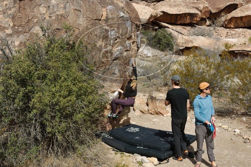 Bouldering in Hueco Tanks on 02/28/2020 with Blue Lizard Climbing and Yoga

Filename: SRM_20200228_1150210.jpg
Aperture: f/6.3
Shutter Speed: 1/500
Body: Canon EOS-1D Mark II
Lens: Canon EF 16-35mm f/2.8 L