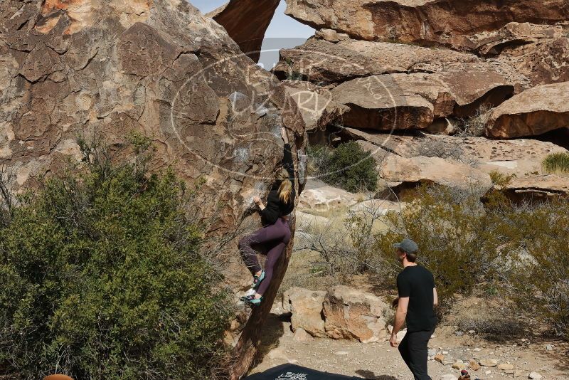 Bouldering in Hueco Tanks on 02/28/2020 with Blue Lizard Climbing and Yoga

Filename: SRM_20200228_1150340.jpg
Aperture: f/7.1
Shutter Speed: 1/500
Body: Canon EOS-1D Mark II
Lens: Canon EF 16-35mm f/2.8 L