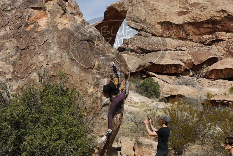 Bouldering in Hueco Tanks on 02/28/2020 with Blue Lizard Climbing and Yoga

Filename: SRM_20200228_1150490.jpg
Aperture: f/7.1
Shutter Speed: 1/500
Body: Canon EOS-1D Mark II
Lens: Canon EF 16-35mm f/2.8 L