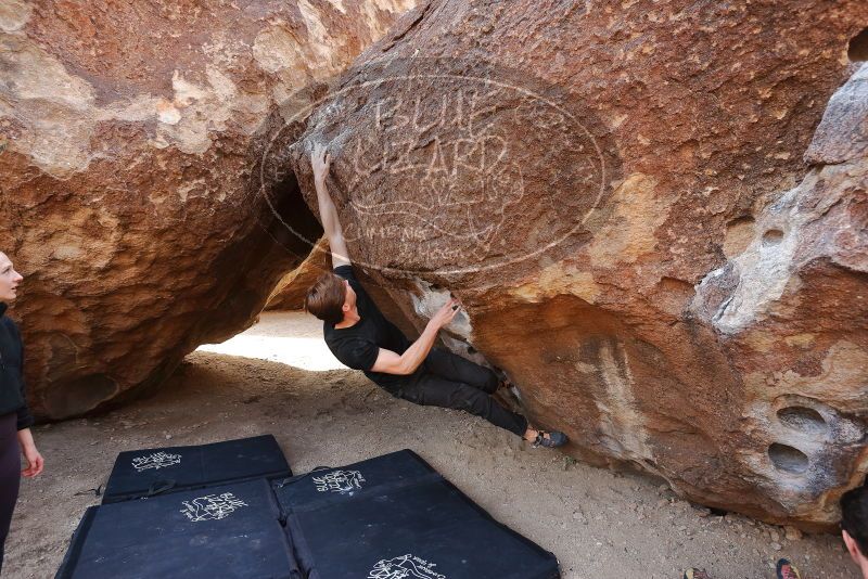 Bouldering in Hueco Tanks on 02/28/2020 with Blue Lizard Climbing and Yoga

Filename: SRM_20200228_1202550.jpg
Aperture: f/4.5
Shutter Speed: 1/250
Body: Canon EOS-1D Mark II
Lens: Canon EF 16-35mm f/2.8 L
