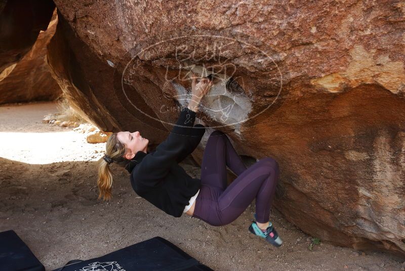 Bouldering in Hueco Tanks on 02/28/2020 with Blue Lizard Climbing and Yoga

Filename: SRM_20200228_1205190.jpg
Aperture: f/5.0
Shutter Speed: 1/250
Body: Canon EOS-1D Mark II
Lens: Canon EF 16-35mm f/2.8 L