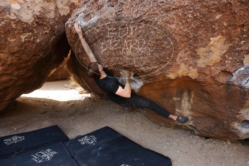 Bouldering in Hueco Tanks on 02/28/2020 with Blue Lizard Climbing and Yoga

Filename: SRM_20200228_1206170.jpg
Aperture: f/5.0
Shutter Speed: 1/250
Body: Canon EOS-1D Mark II
Lens: Canon EF 16-35mm f/2.8 L