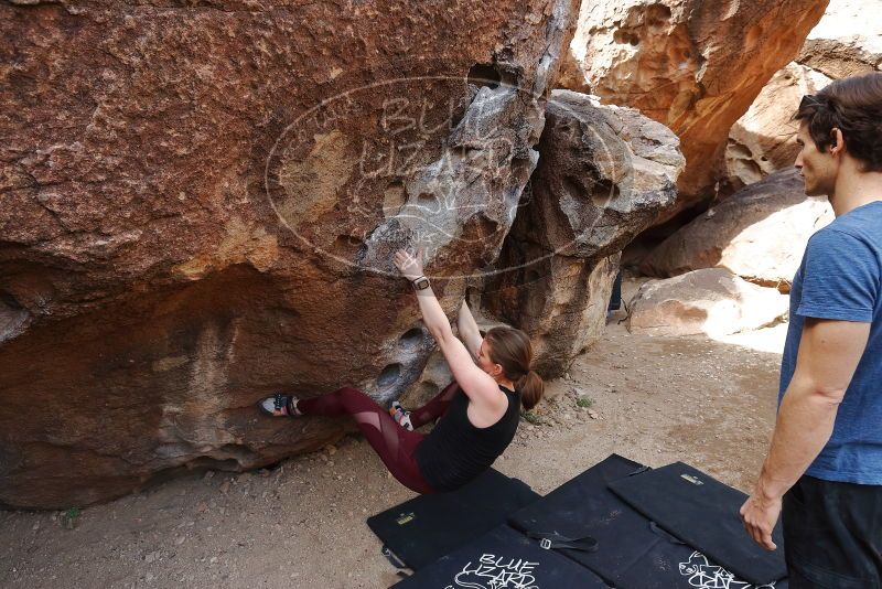Bouldering in Hueco Tanks on 02/28/2020 with Blue Lizard Climbing and Yoga

Filename: SRM_20200228_1208500.jpg
Aperture: f/5.6
Shutter Speed: 1/250
Body: Canon EOS-1D Mark II
Lens: Canon EF 16-35mm f/2.8 L